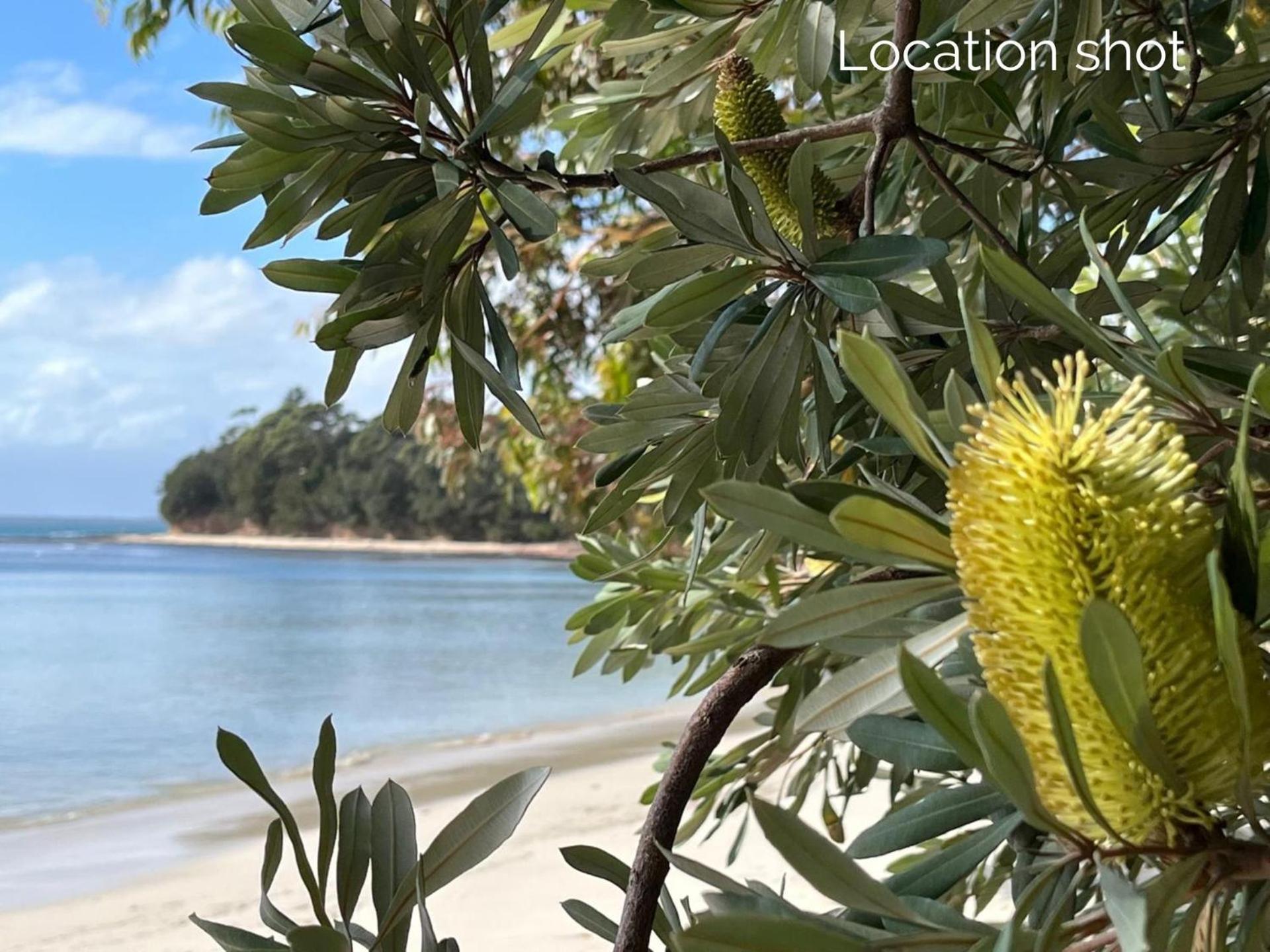 ビンセンチアBanksia On Blenheim By Experience Jervis Bayアパートメント エクステリア 写真